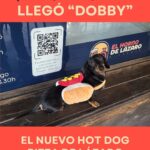 Dobby Hot dog pizza